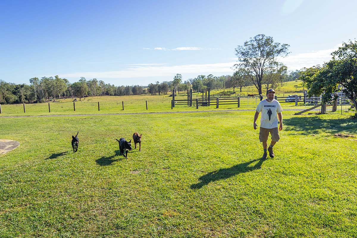 Pet Friendly Gallery 11